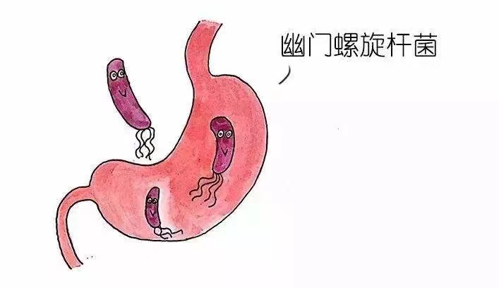 打响您的健康保“胃”战(图3)