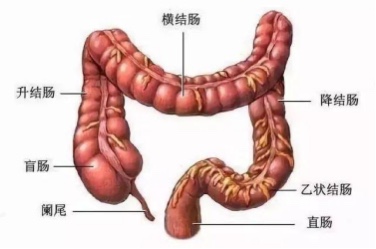1-230F322142Y56.jpg