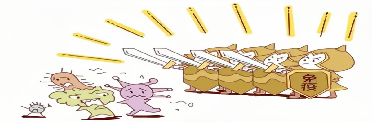 1-23091R21945W2.png