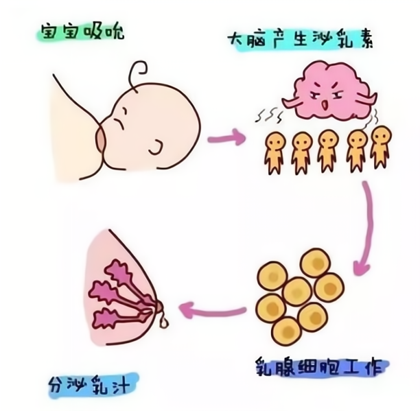 1-2309261A21B21.png