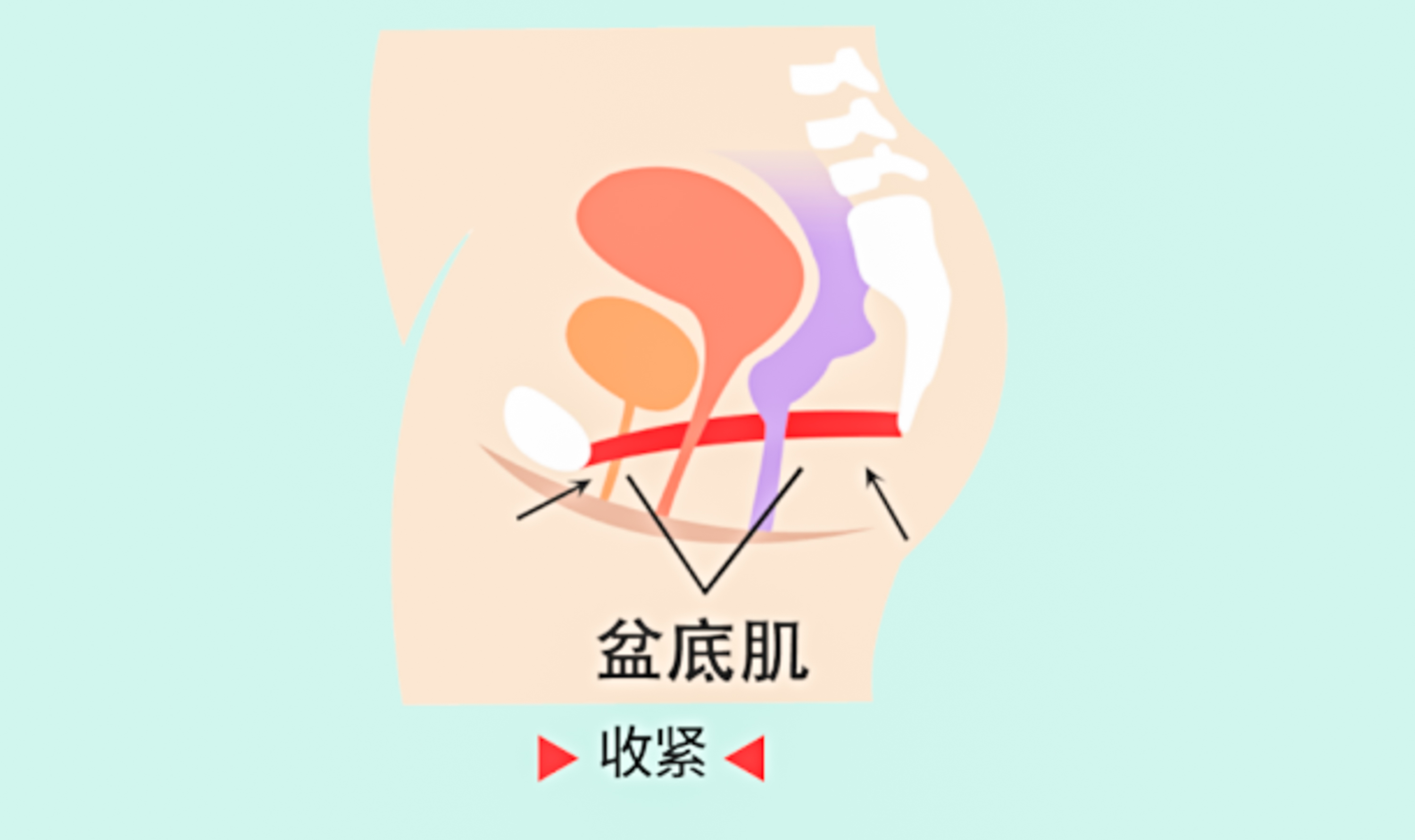 1-2405061G051437.jpg