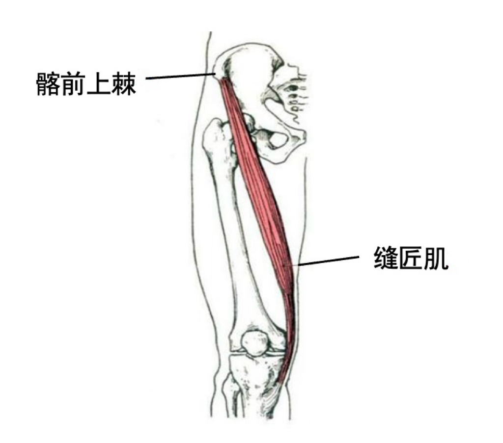 1-241009141U1353.jpg