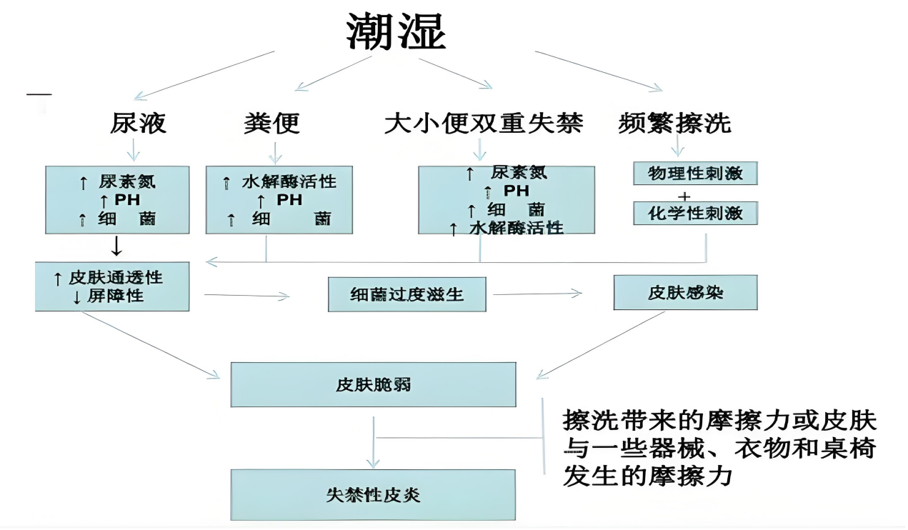 1-25021GZH6246.png