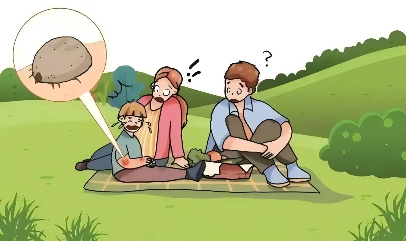 1-25042QP540308.png