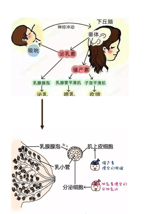 1-250I10PP4922.png