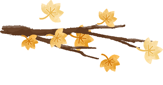 远离“人生最后一次骨折”(图4)