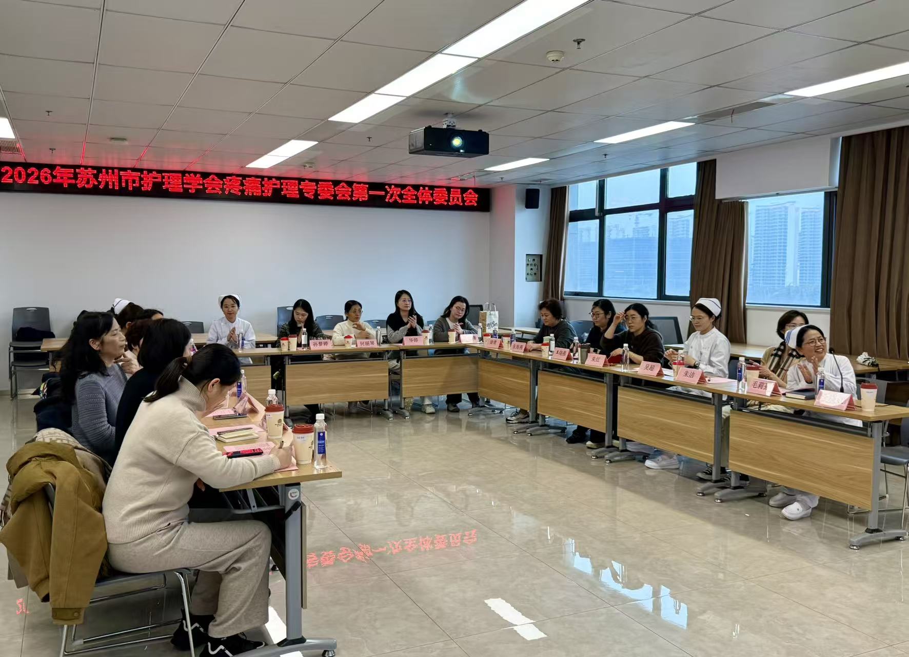 苏州市护理学会疼痛护理专业委员会2026年第一次会议顺利召开(图1)